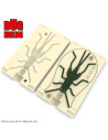Fishing soft bait mold GrassHopper 3,5 inch model ID B70 from Bugmolds